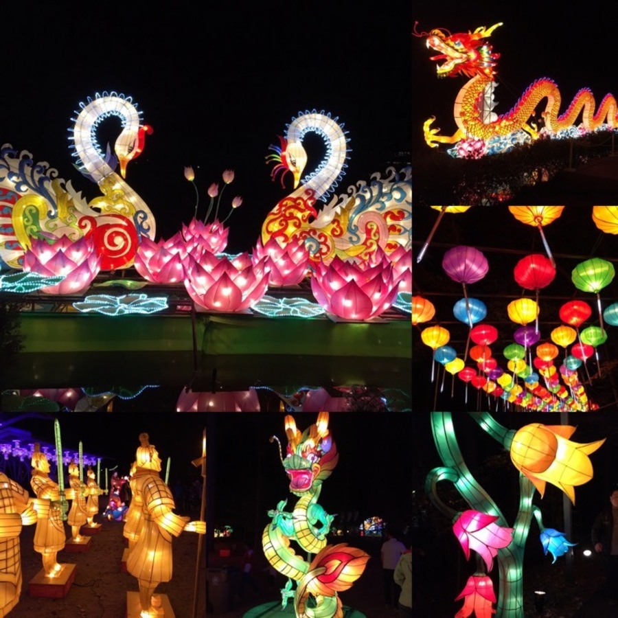 NC Chinese Lantern Festival 2018 Offline Raleigh, NC