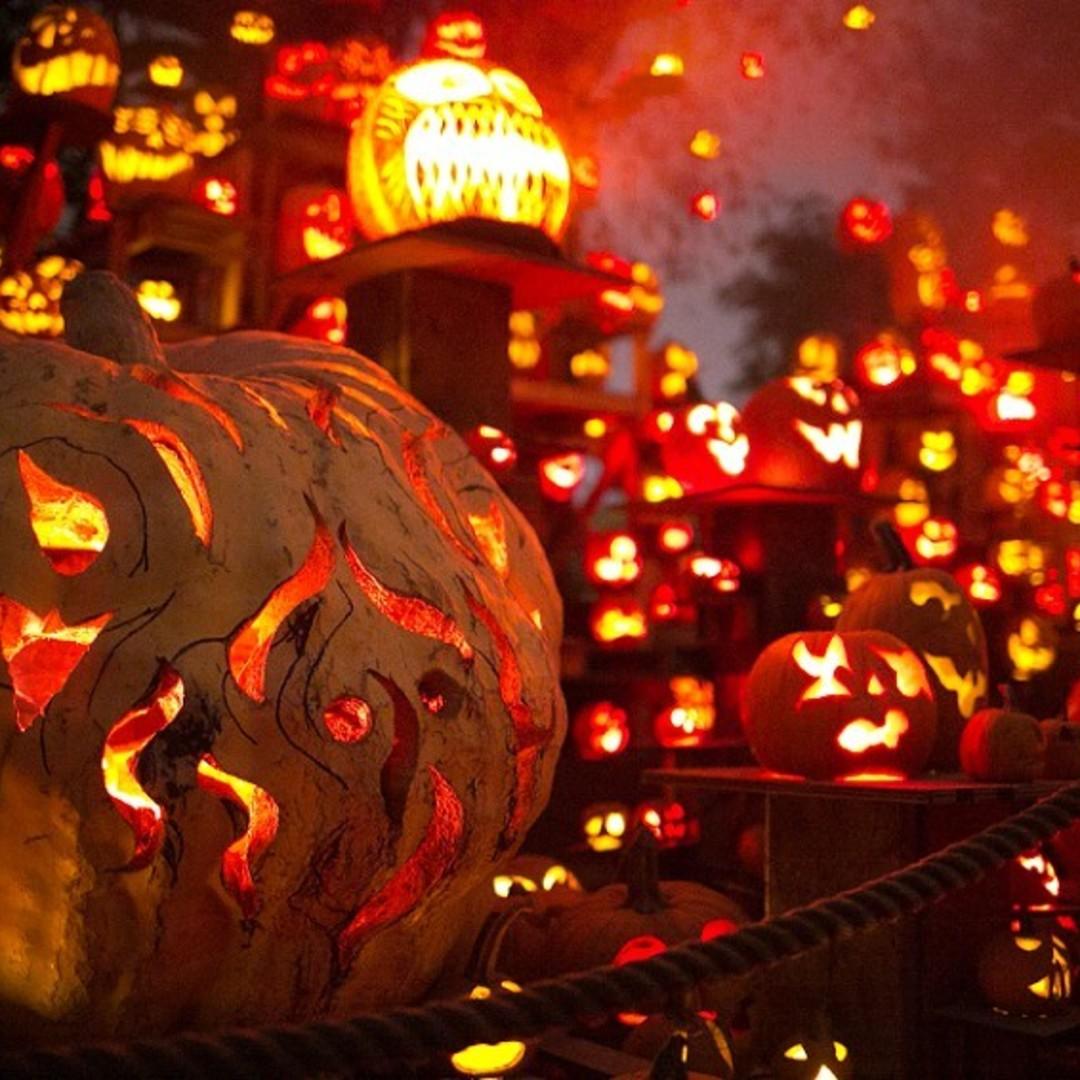See Pumpkins Ablaze at THE GLOW: A Jack O'Lantern Experience | Offline ...
